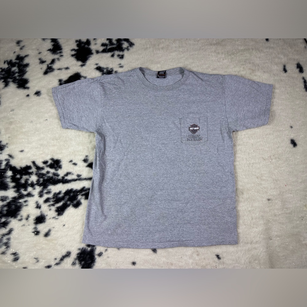 Harley Davidson Men's Gray Albuquerque New Mexico Chicks Tee Shirt Size Medium